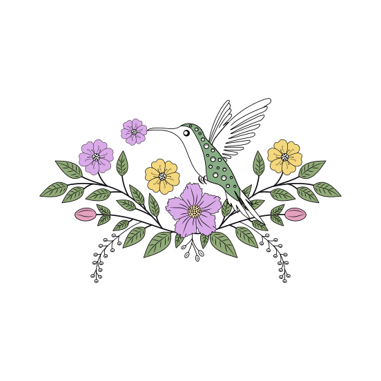 Floral Hummingbird, Trochilid, Bird, Nature, Creature illustration