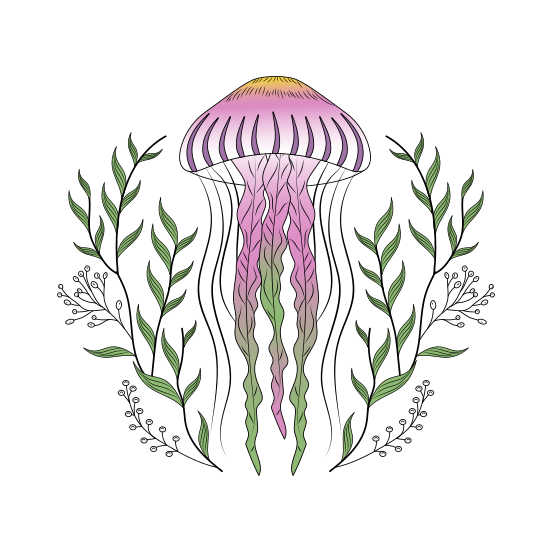 Glowing Jellyfish, Sea Jelly, Cnidarian, Creature, Nature illustration