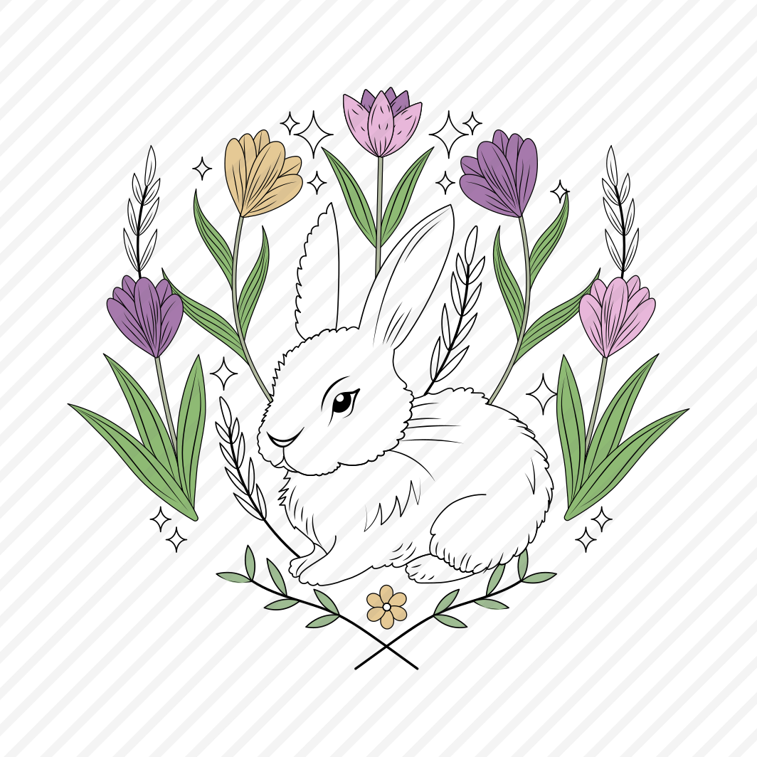Hare, Bunny, Rabbit, Animal, Creature preview