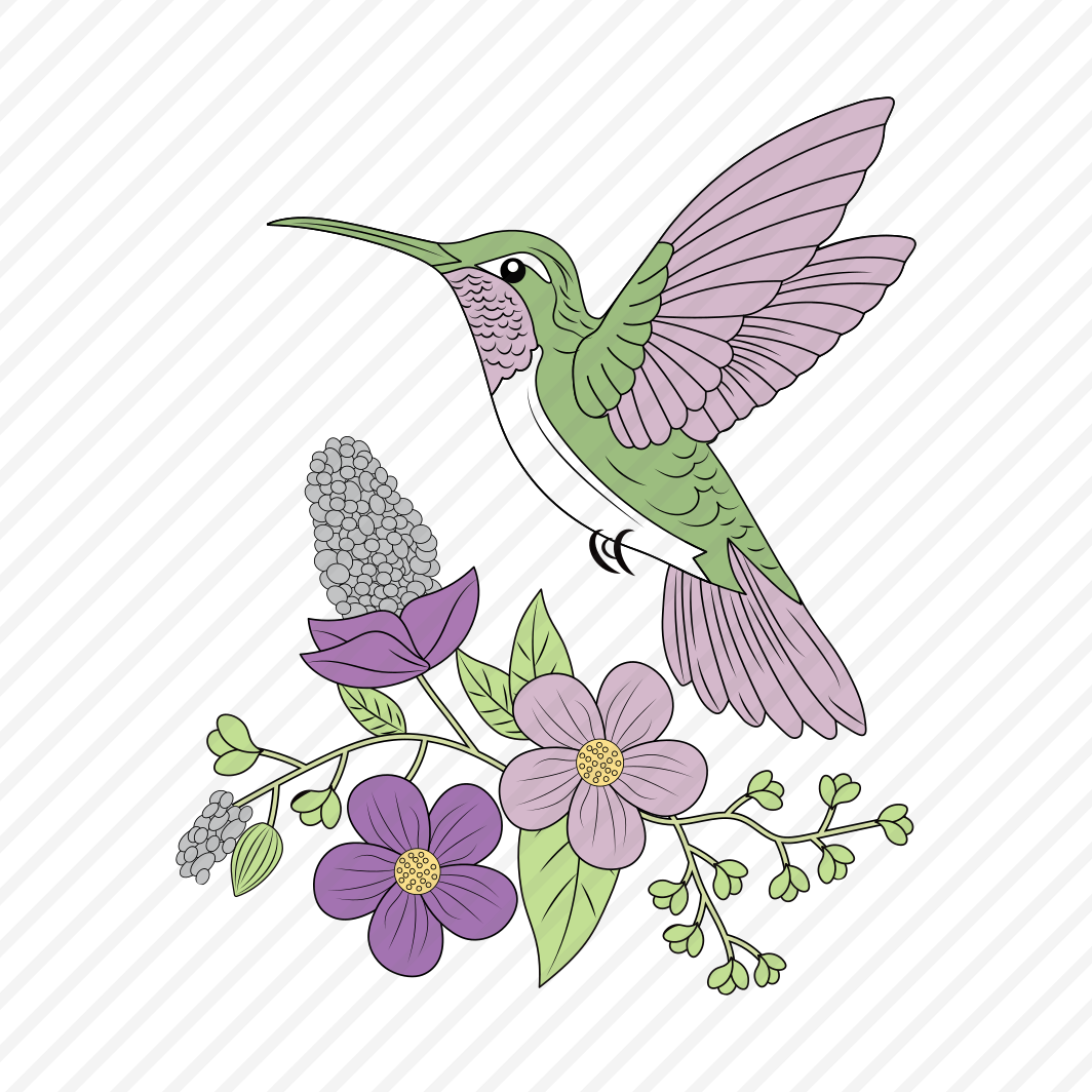 Hummingbird, Trochilid, Bird, Nature, Creature preview