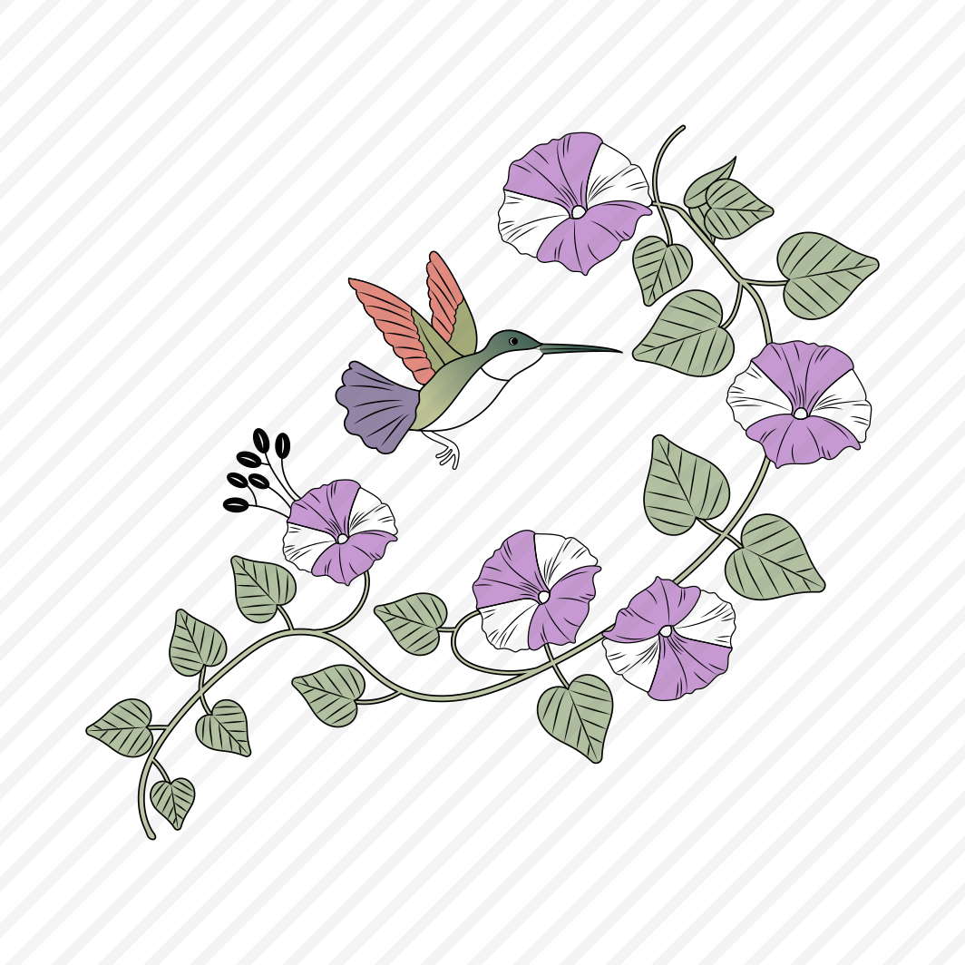 Morning Glory, Ipomoea, Flower, Floral, Bird preview