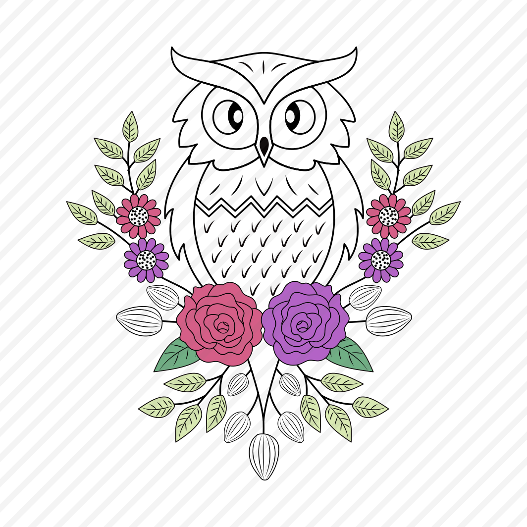 Night Bird, Owl, Strigiform, Creature, Nature preview