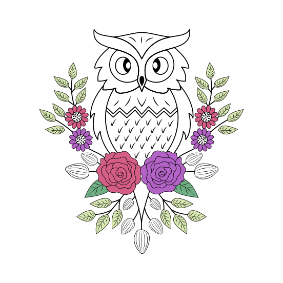 Night Bird, Owl, Strigiform, Creature, Nature illustration