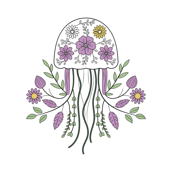 Ornate Jellyfish, Sea Jelly, Cnidarian, Creature, Nature illustration