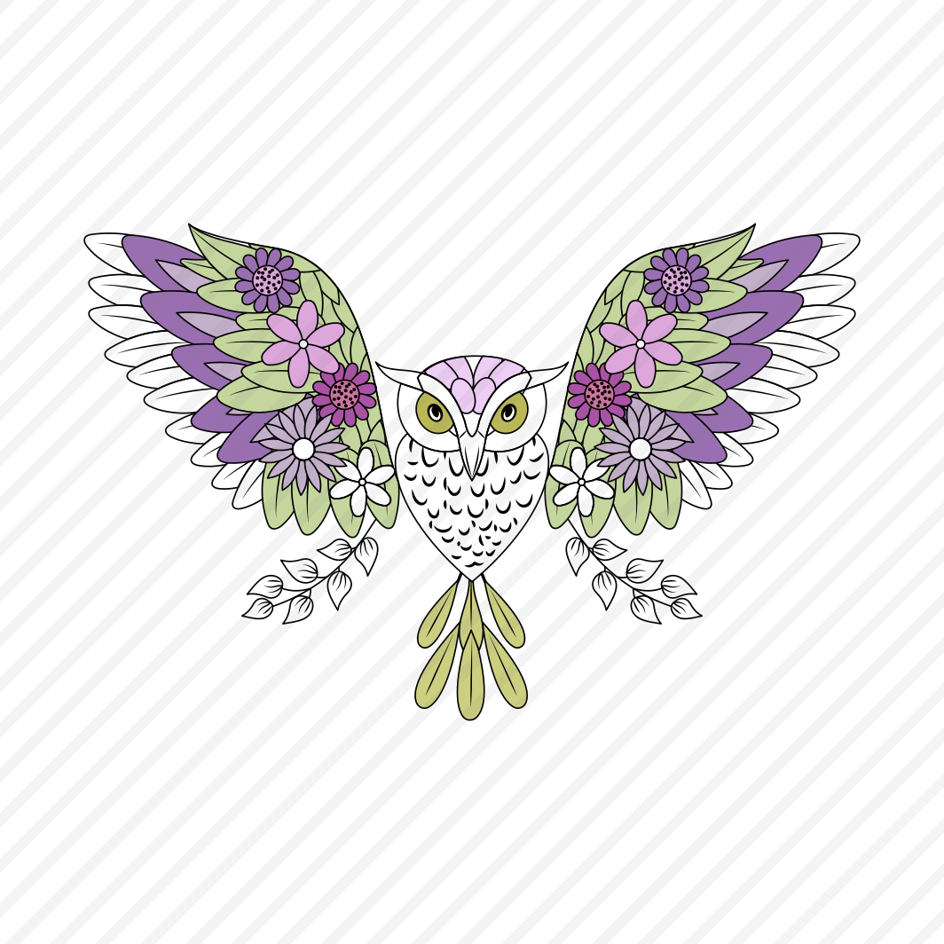 Owl, Strigiform, Bird, Creature, Nature preview