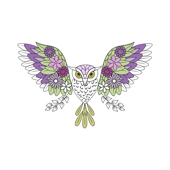 Owl, Strigiform, Bird, Creature, Nature illustration