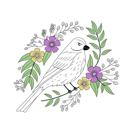 Perched, Nature, Bird, Pet, Creature illustration