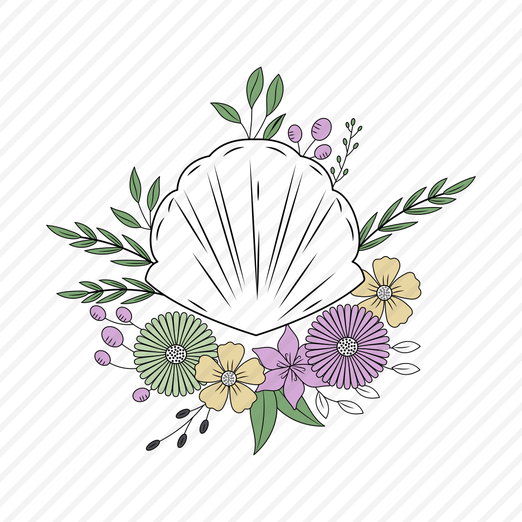 Scallop Shell, Seashell, Nature, Specie, Creature preview