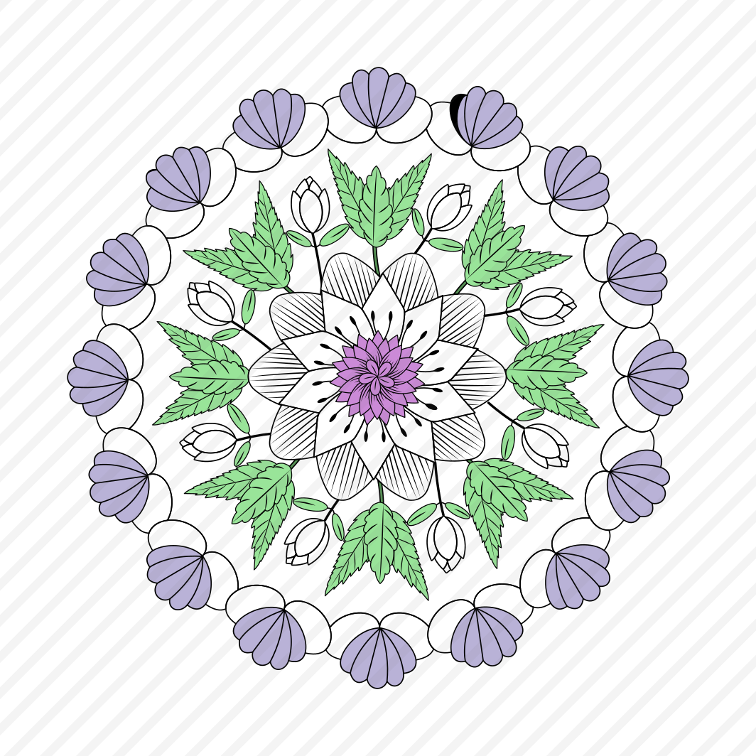 Shell Mandala, Flower, Floral, Blooming, Nature preview