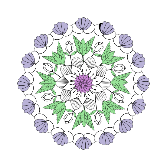 Shell Mandala, Flower, Floral, Blooming, Nature illustration