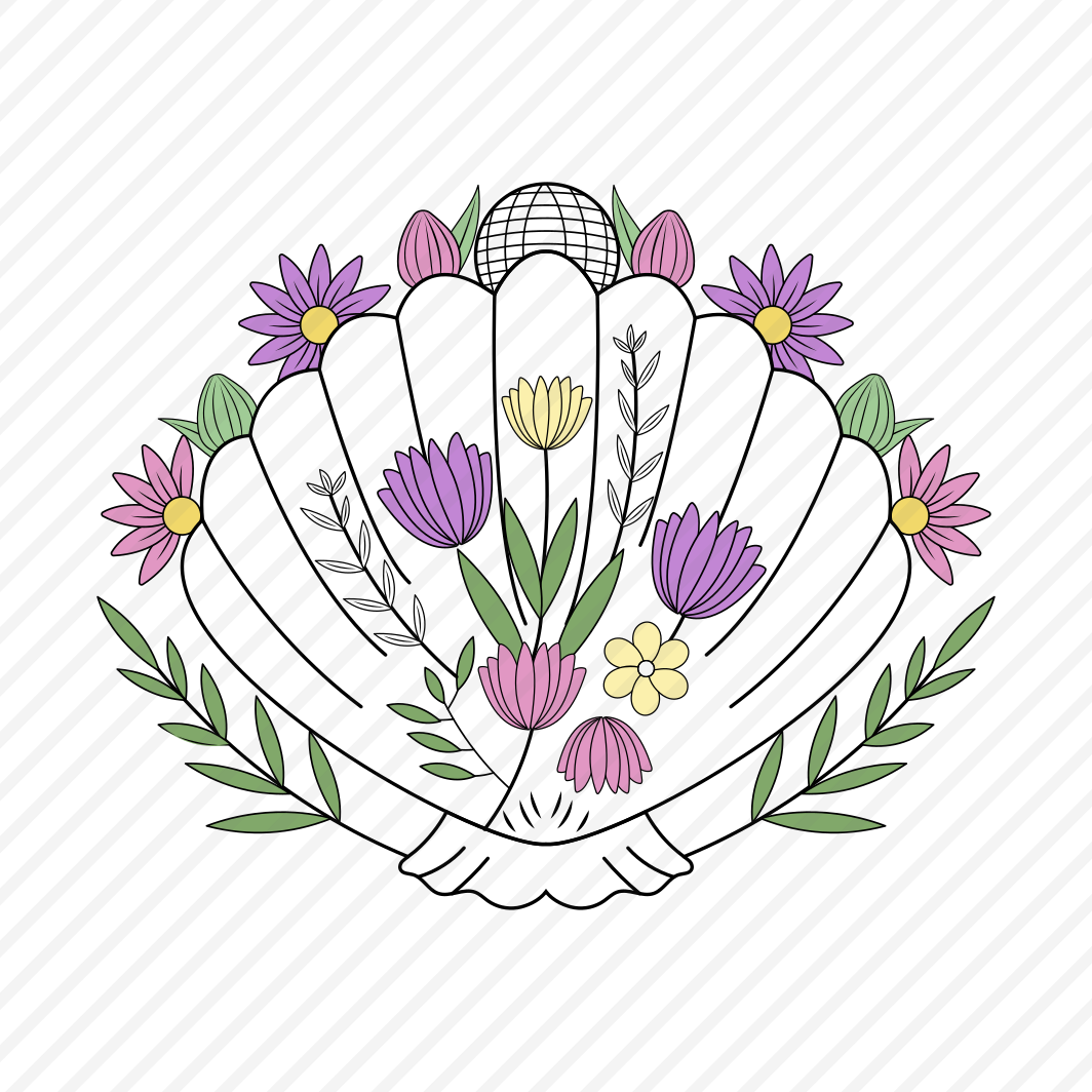 Shell, Seashell, Scallop, Nature, Specie, preview