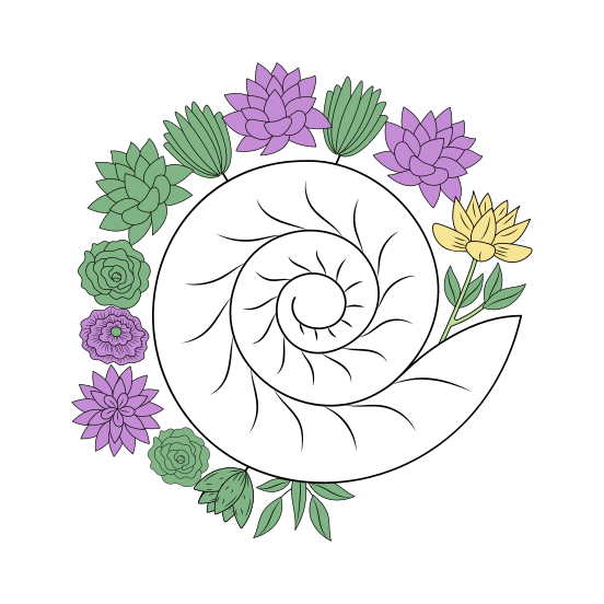 Spiral Shell, Decor, Floral, Seashell, Nature illustration