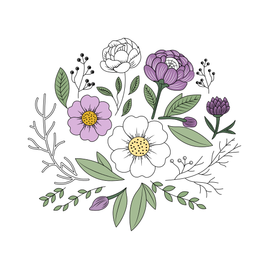 Camellia, Ornate, Floret, Blooming, Nature, illustration