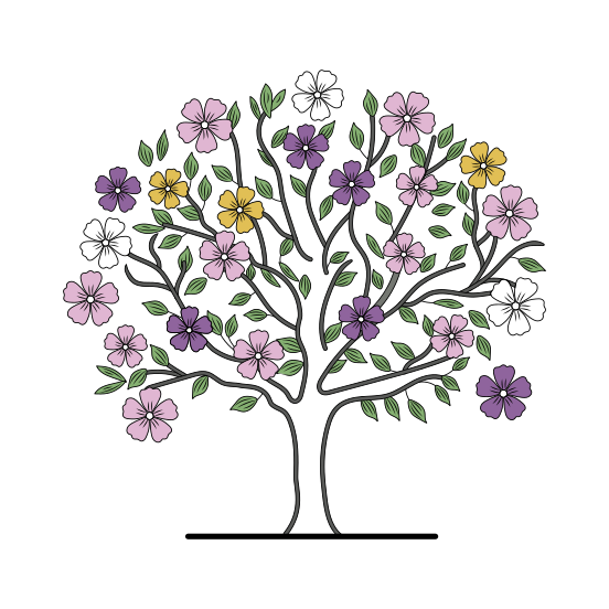 Cherry Tree, Evergreen, Floret, Blooming, Nature, illustration