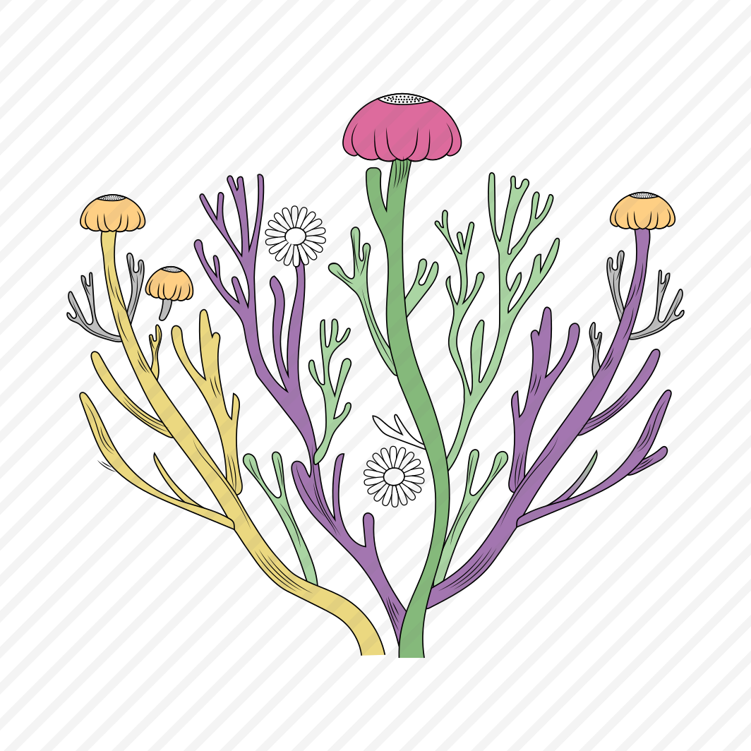 Coral Fungi, Reef, Underwater, Blooming, Nature, preview