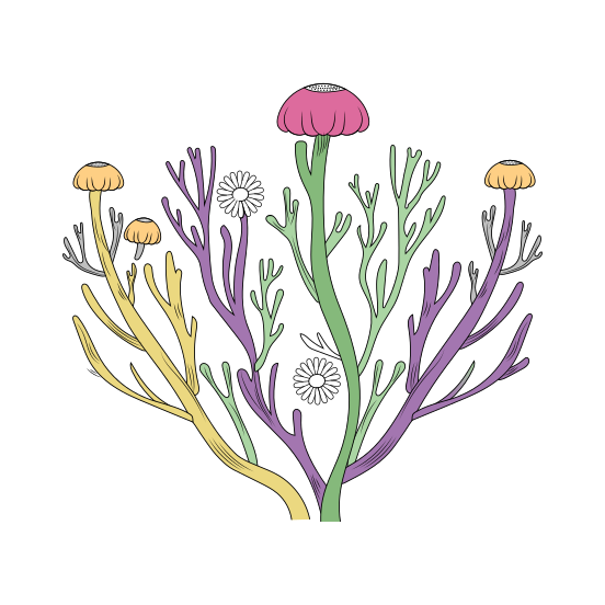 Coral Fungi, Reef, Underwater, Blooming, Nature, illustration