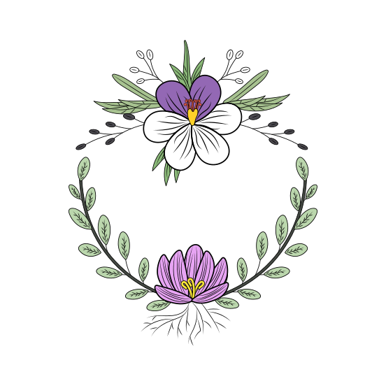 Crocus Flower, Ornamental, Floret, Blooming, Nature, illustration