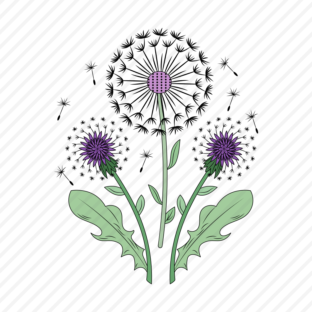 Dandelion, Taraxacum, Floral, Nature, Floral, preview
