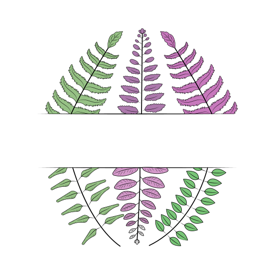 Ferns, Leaves, Foliage, Blooming, Nature, illustration
