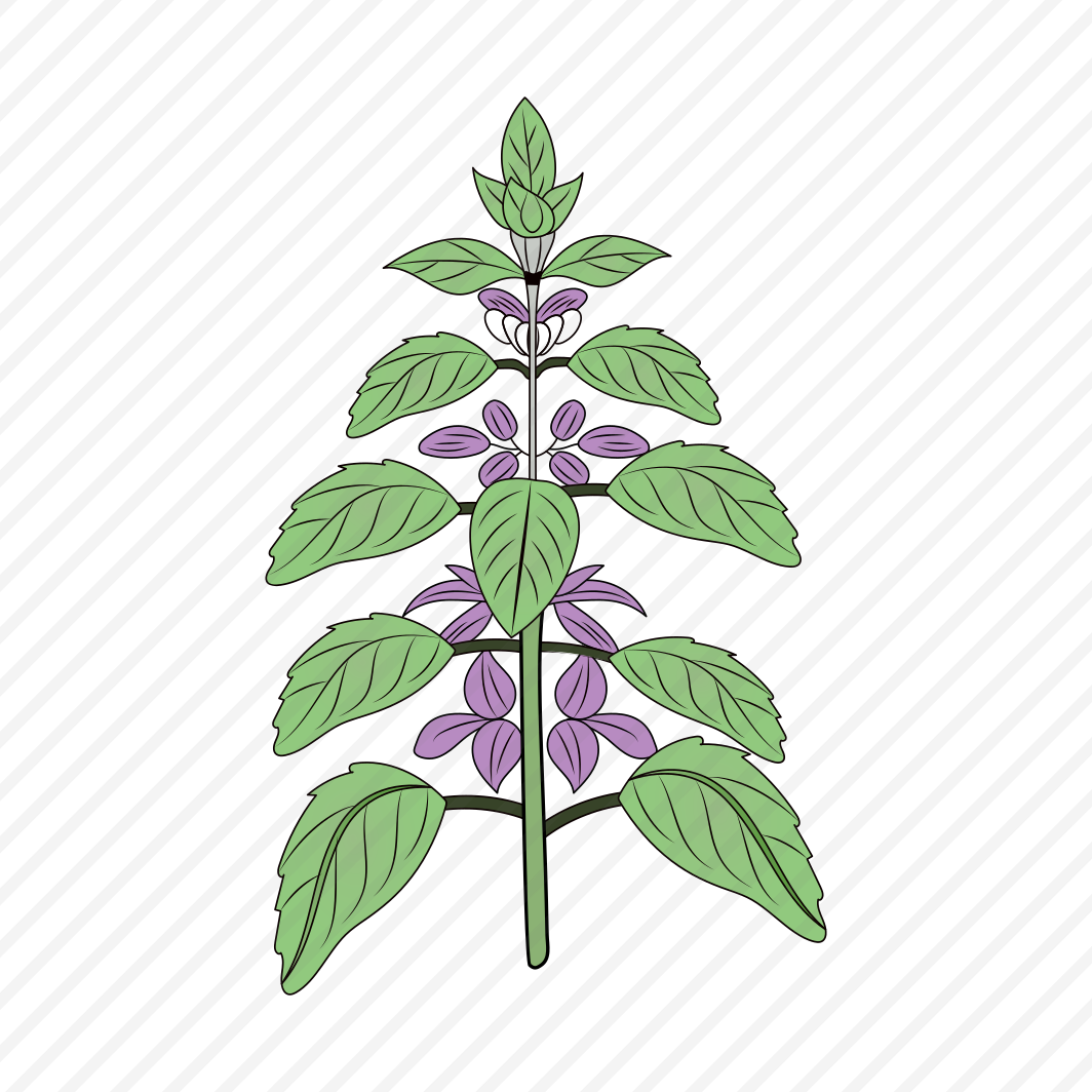 Flower Wreath, Ornamental, Floret, Blooming, Nature, preview