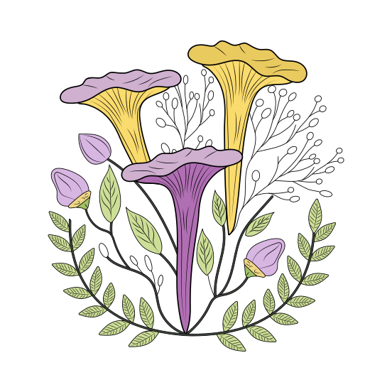 Flowers, Floral, Floret, Blooming, Nature, illustration