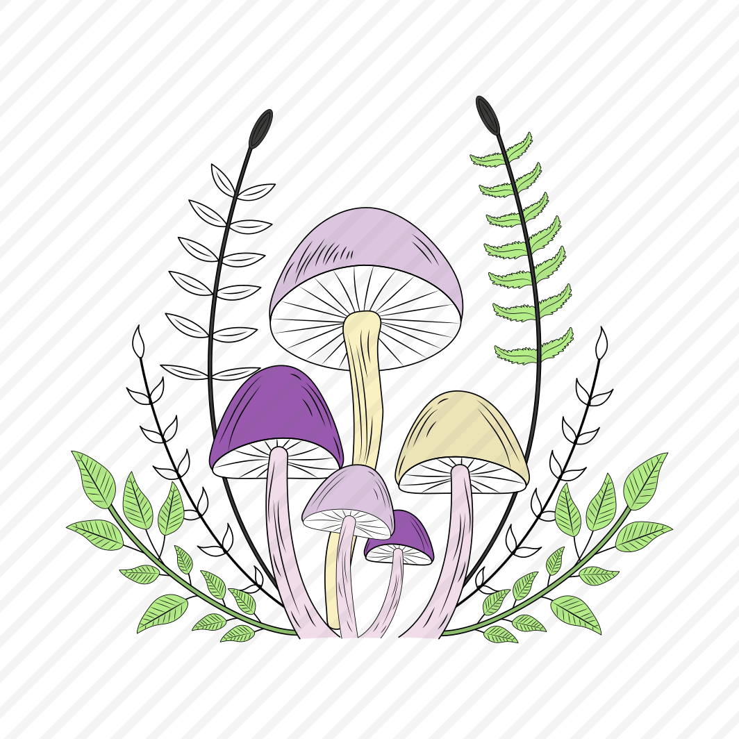 Forest Mushrooms, Toadstool, Fungi, Edible, Nature preview