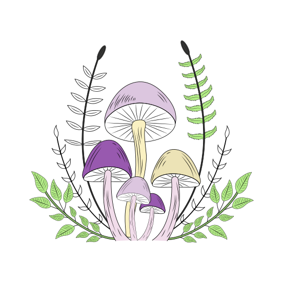 Forest Mushrooms, Toadstool, Fungi, Edible, Nature illustration