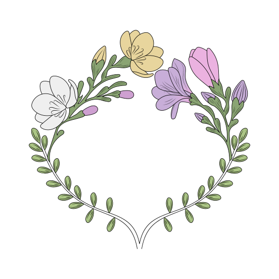 Freesia, Flowers, Floret, Blooming, Nature, illustration