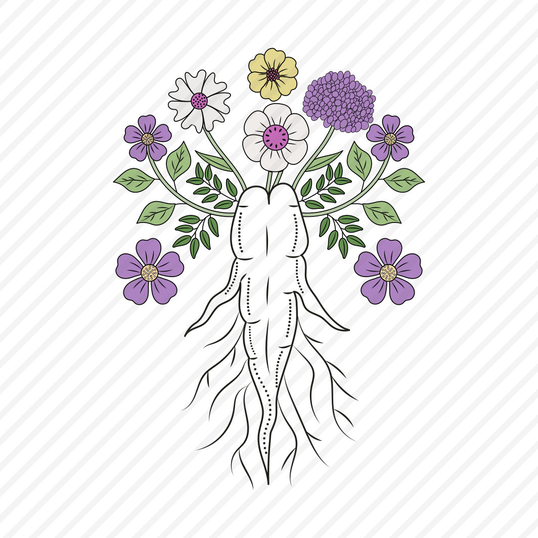 Ginseng Root, Flowers, Floret, Blooming, Nature, preview