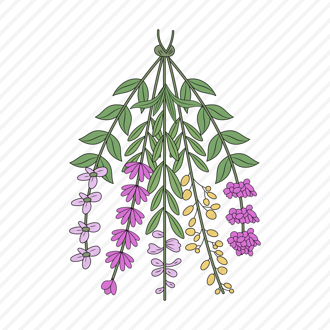 Hanging Herbs, Floret, Blooming, Nature, Ornate preview