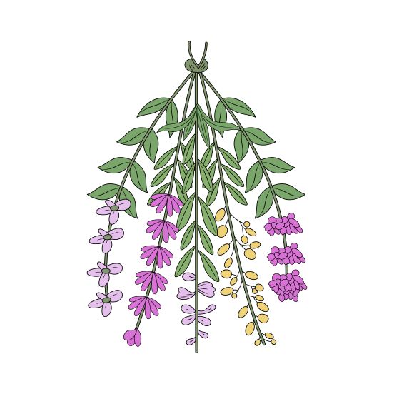 Hanging Herbs, Floret, Blooming, Nature, Ornate illustration