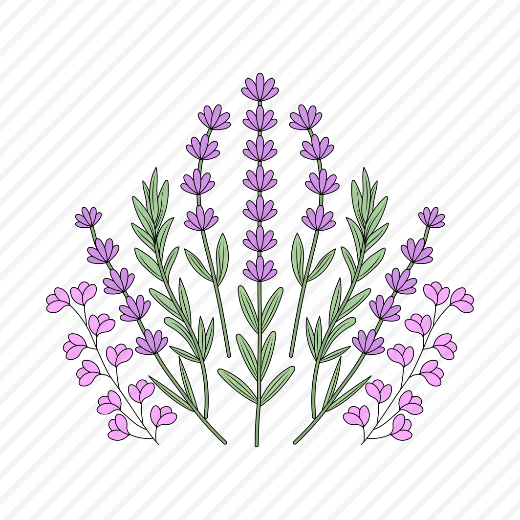 Lavender Plant, Flowers, Floret, Blooming, Nature, preview