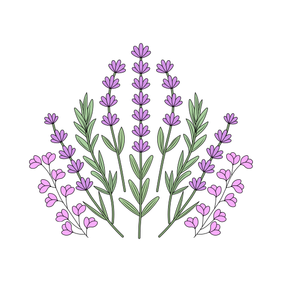 Lavender Plant, Flowers, Floret, Blooming, Nature, illustration