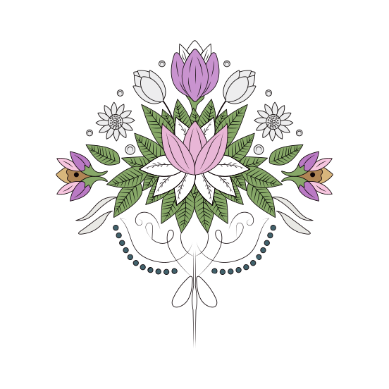 Lotus, Plant, Floret, Blooming, Nature, illustration