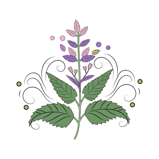 Mini Plant, Twig, Foliage, Blooming, Nature, illustration