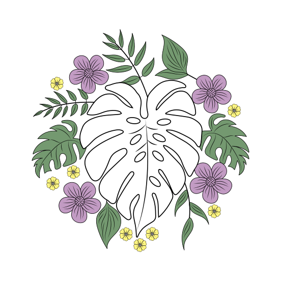 Monstera, Foliage, Floret, Blooming, Nature, illustration