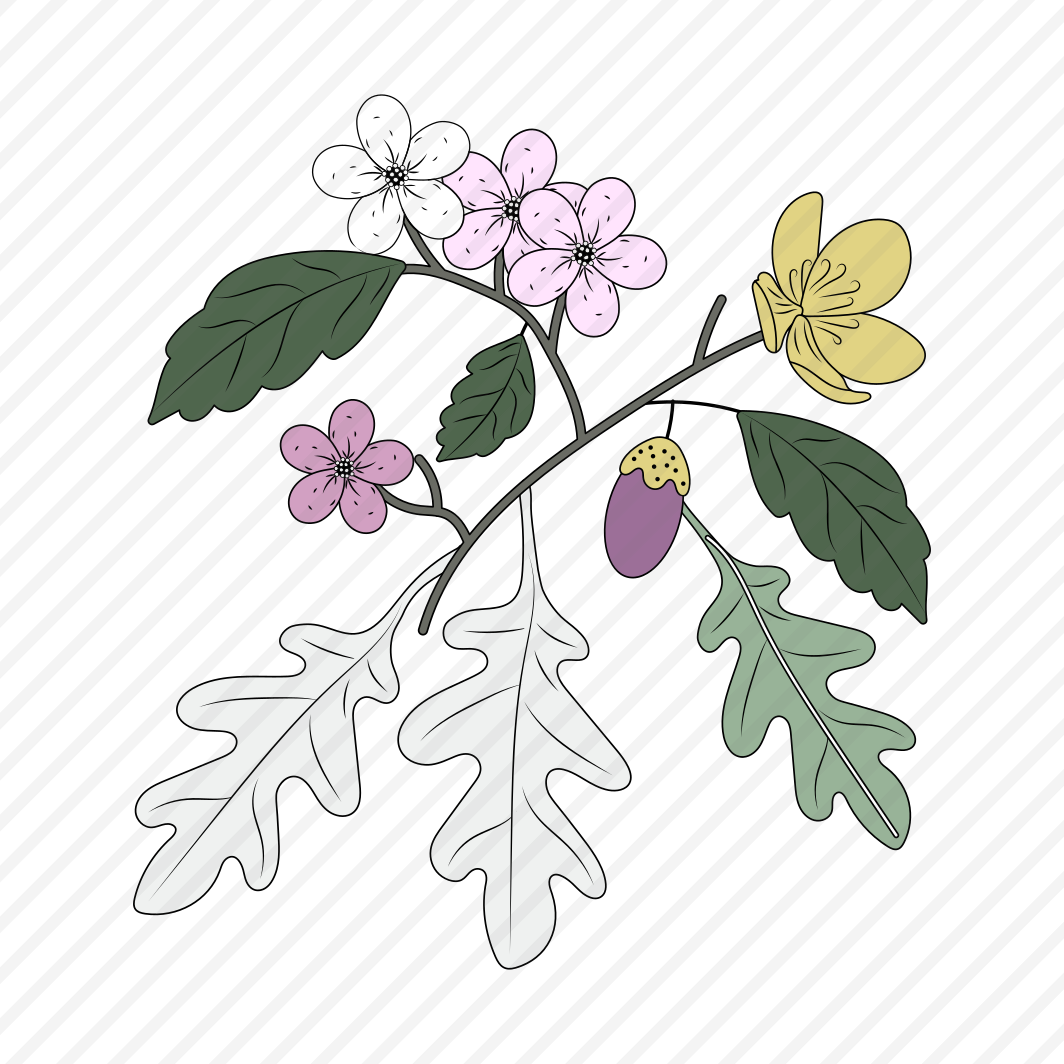 Oak Plant, Leaves, Twig, Blooming, Nature, preview