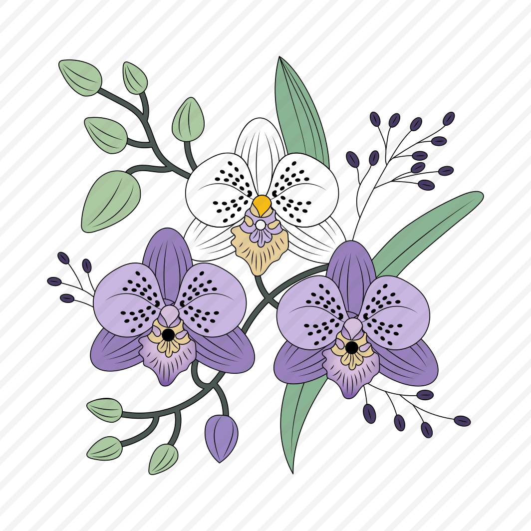 Orchid Flower, Floral, Floret, Blooming, Nature, preview