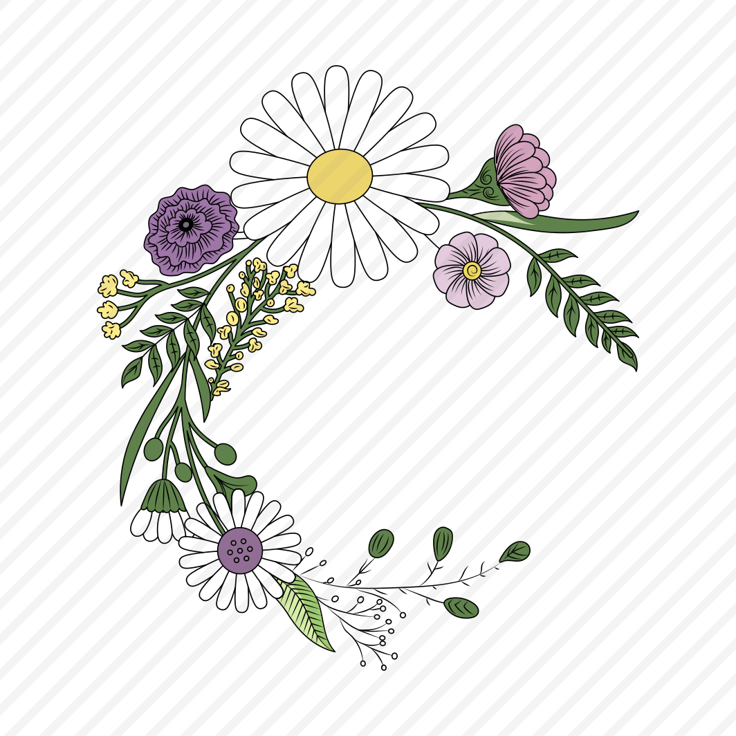 Oxeye Daisy, Floral, Flower, Nature, Blooming preview