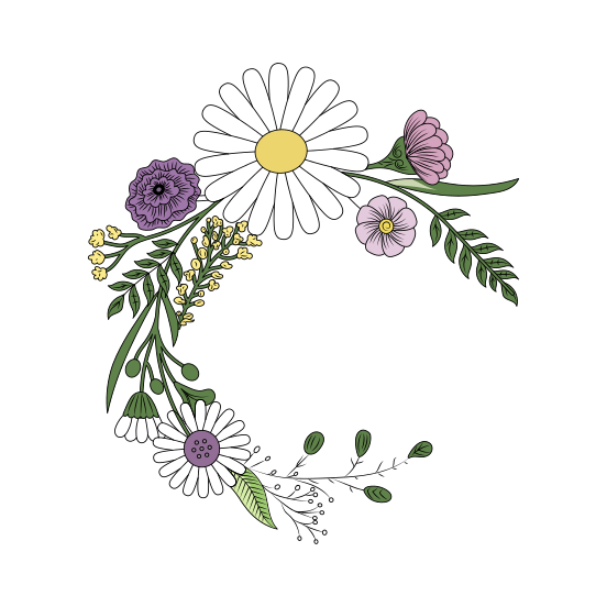 Oxeye Daisy, Floral, Flower, Nature, Blooming illustration