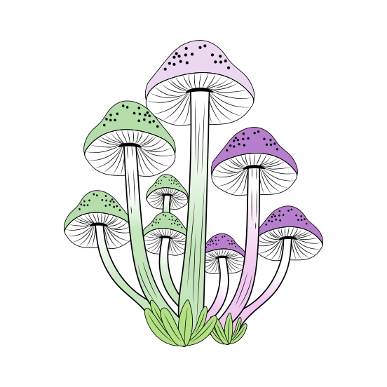 Pastel Mycelium, Mushrooms, Fungi, Edible, Nature, illustration