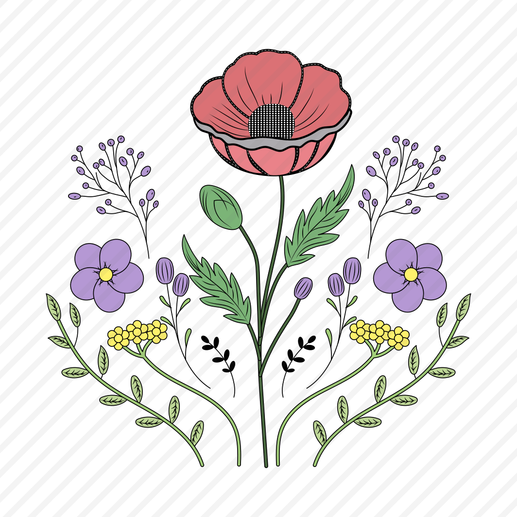 Poppy Flower, Papaver, Floret, Blooming, Nature, preview