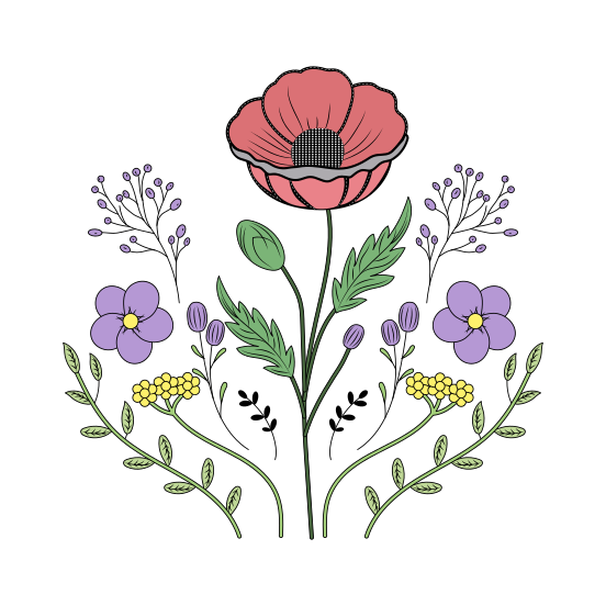 Poppy Flower, Papaver, Floret, Blooming, Nature, illustration