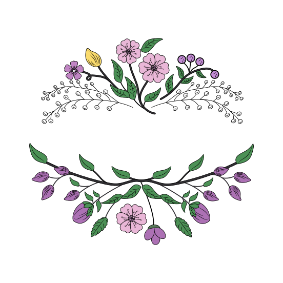 Sakura Flower, Ornate, Floret, Blooming, Nature, illustration