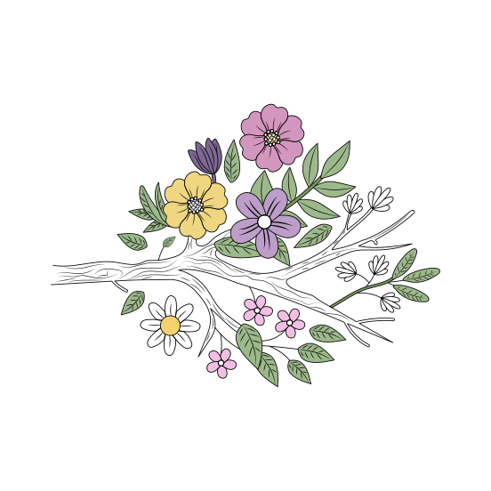 Spring Flowers, Twig, Floret, Blooming, Nature, illustration