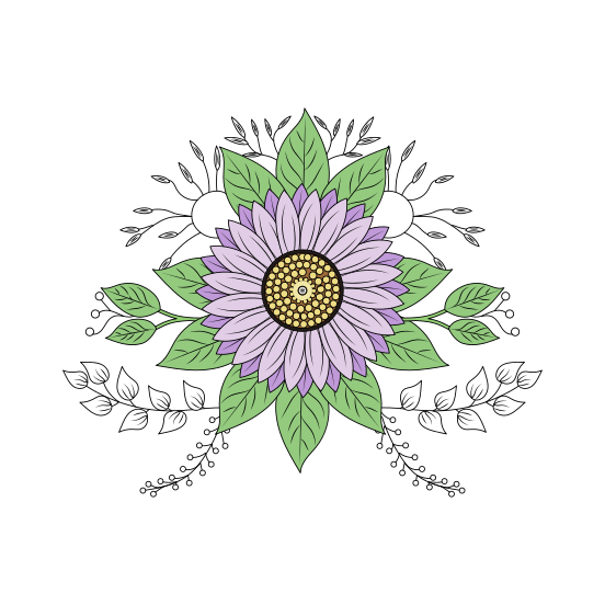 Sunflower, Helianthus, Floret, Blooming, Nature, illustration