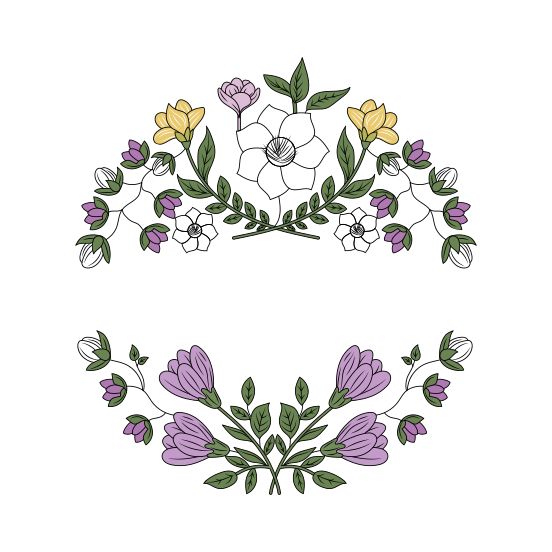 Tulip Flower, Floret, Blooming, Nature, Floral illustration