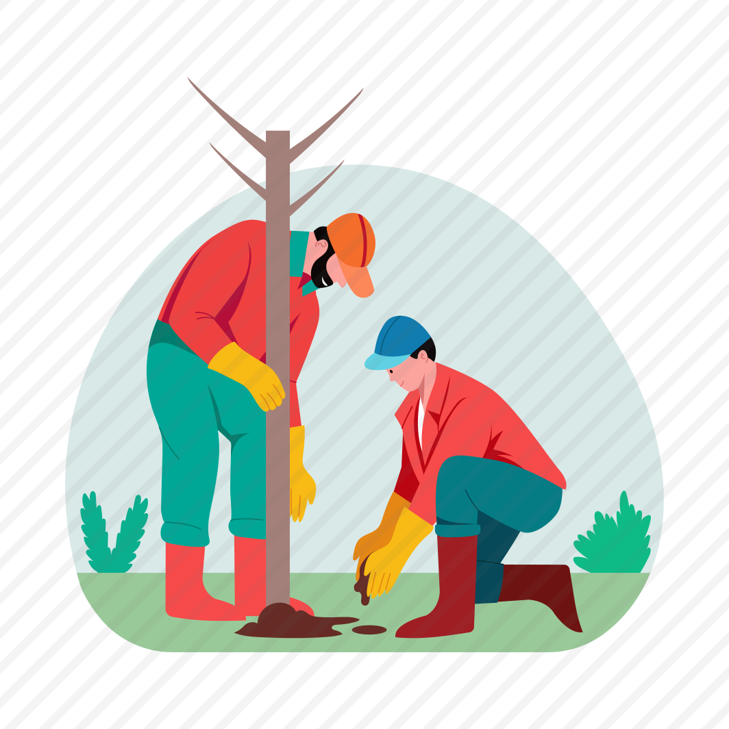 Forest Restoration, Planting, Volunteering, Reforestation, Ecology preview