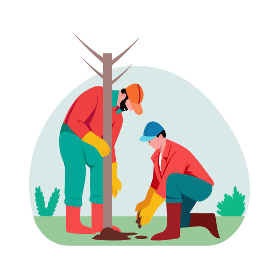 Forest Restoration, Planting, Volunteering, Reforestation, Ecology illustration