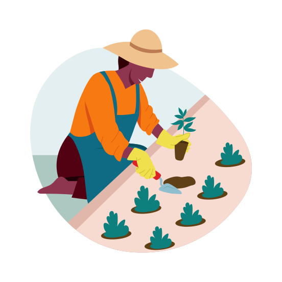 Gardening, Planting, Sowing, Agriculture, Horticulture illustration